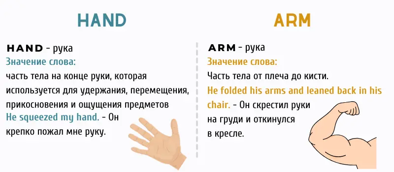 Чем отличается Hand и Arm Чем отличается Hand и Arm