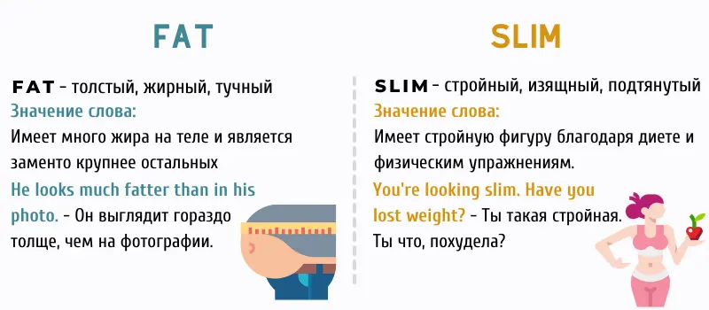 Чем отличается Fat от Slim Чем отличается Fat от Slim