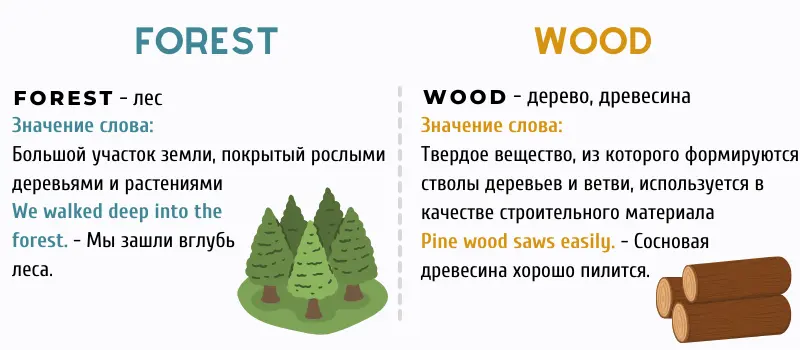 Чем отличается Forest и Wood